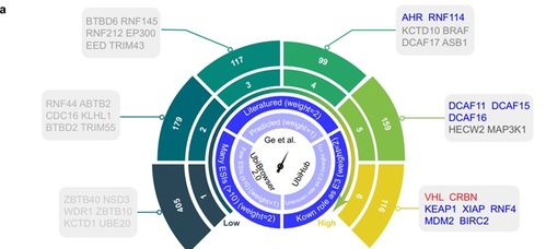 推动protac药物开发新纪元 扩展protac的e3连接酶